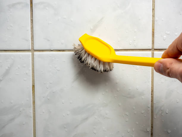 Best Mold Removal Process  in St Matthews, KY