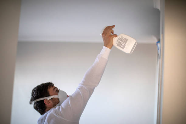 Best Home Mold Removal  in St Matthews, KY