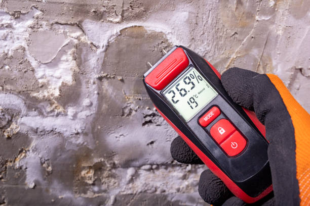 Attic Mold Removal in St Matthews, KY