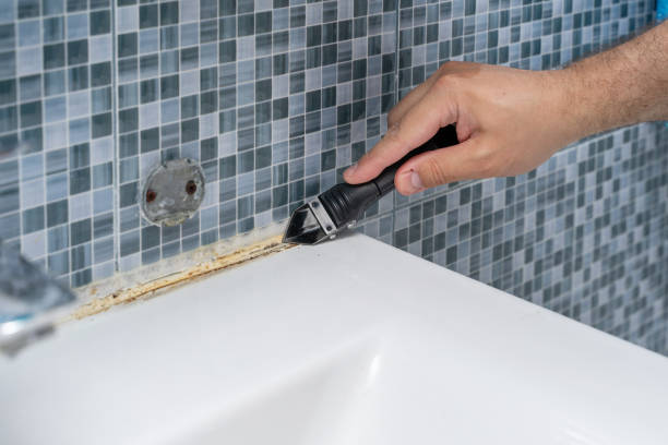 Best Affordable Mold Removal  in St Matthews, KY