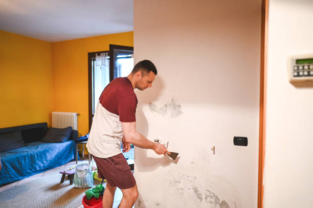 Best Water Damage Restoration  in St Matthews, KY