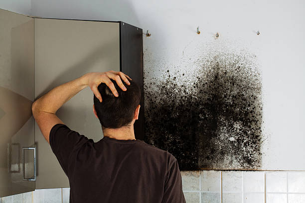 Crawl Space Mold Removal in St Matthews, KY